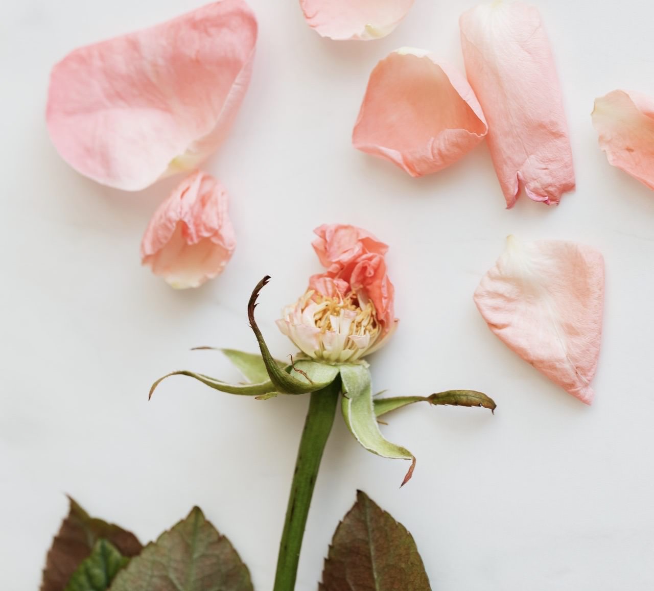 danno-biologico-psicologia-in-tribunale