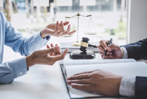 Consultation and conference of Male lawyers and professional bus