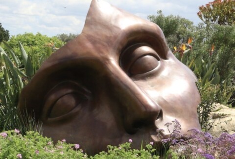 Cerebrolesioni_danno_psichico