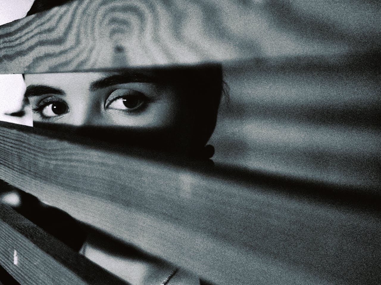 pexels-nikitash-21615171