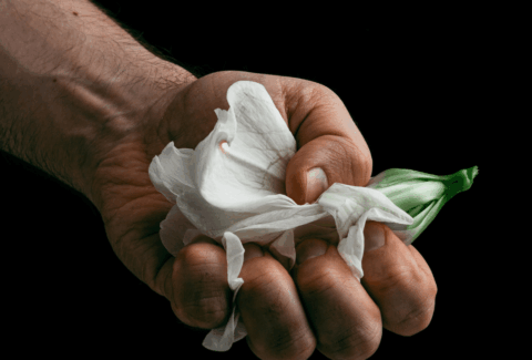 Progetto senza titolo-16