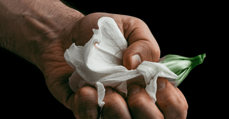 Progetto senza titolo-16