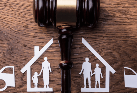 Famiglie in tribunale