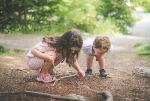 pexels-stephentcandrews-9305063-700x500