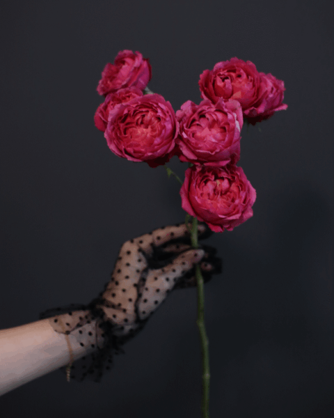 transgender-819x1024