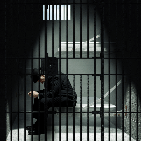 rogetto professionale