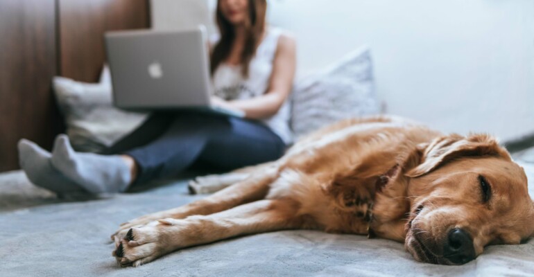 bruno-cervera-azsk_6IMT3I-unsplash-scaled-1-770x400 (1)